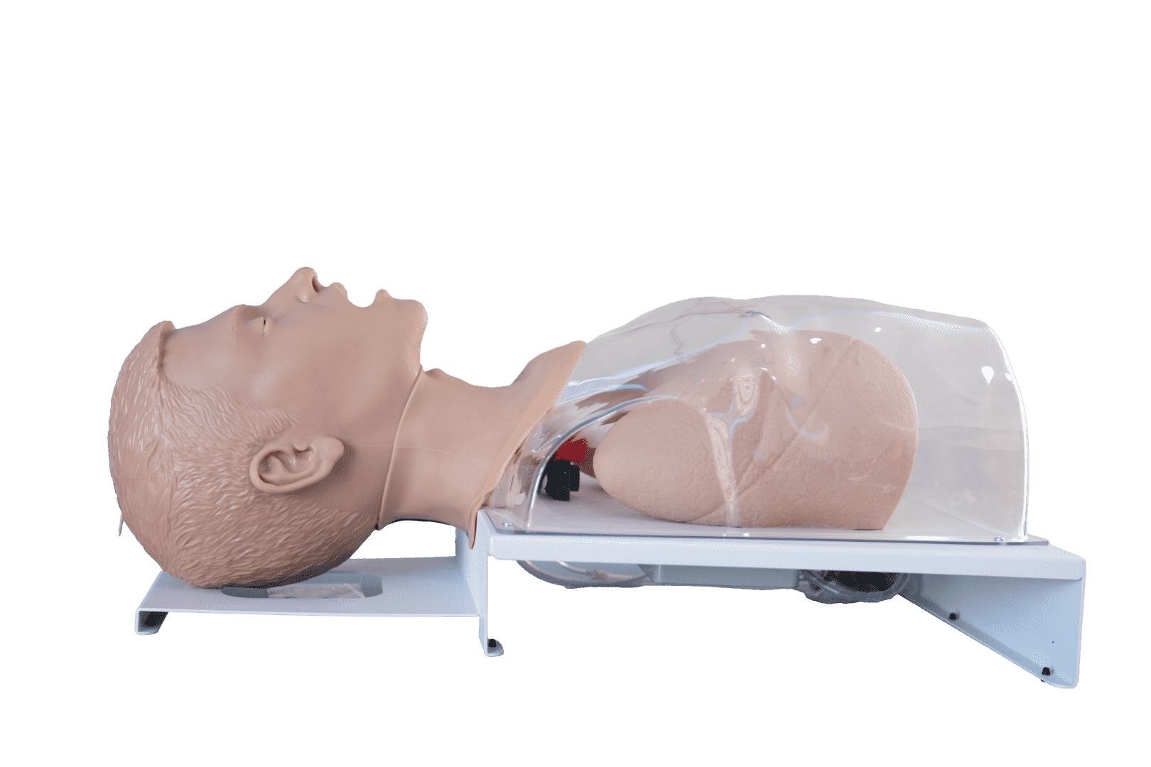 Comprehensive Airway Management Model